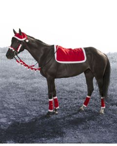 JT International 5-Peice Santa English Set