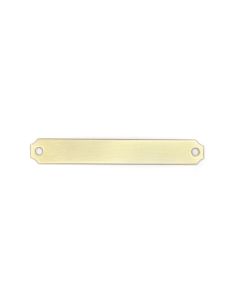 Notched Brass Pony Halter Plate