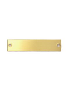 Short Brass Pony Halter Plate 3/4" x 3 1/2"