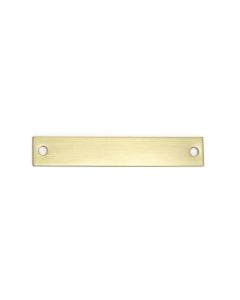 Rectangular Brass Pony Halter Plate