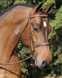 Arc De Triomphe Tribute Bridle with Raised Fancy Laced Reins