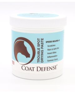 Coat Defense Trouble Spot Drying Paste 24oz