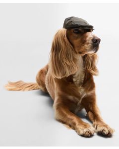 Barbour Dog Wax Flat Cap