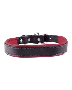 Perri's Padded Leather Dog Collar