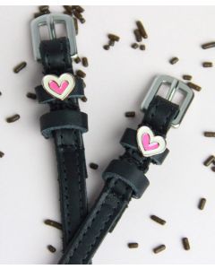 Swatch