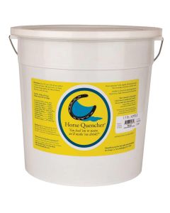 Horse Quencher Pail (13lb)