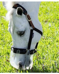 ThinLine Flexible Filly Slow Feed Grazing Muzzle