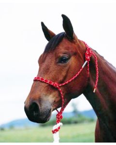 Double Diamond Rope Halter 5/16"