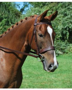 KL Italia Foxwell Flat Hunt Bridle