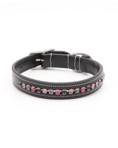KL Select Crystal Dog Collar