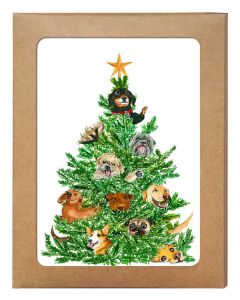 Liyana Studio Boxed Folded Card & Envelope Set  - Set of 6