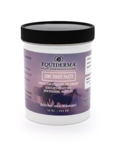 Equiderma Zinc Oxide Paste 16 oz