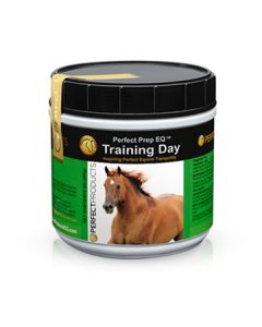 Perfect Prep EQ Training Day Powder 2 LB