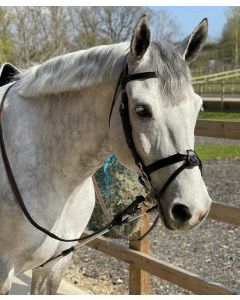 ReinRite Pony Training Aid