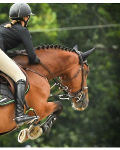 ReinRite Sport Horse Training Aid