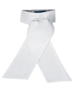 RJ Classics Camden Plain Pre-Tied Stocktie