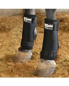 Cashel Stall Sore Boots