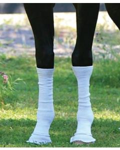 Summer Whinnys Sox For Horses
