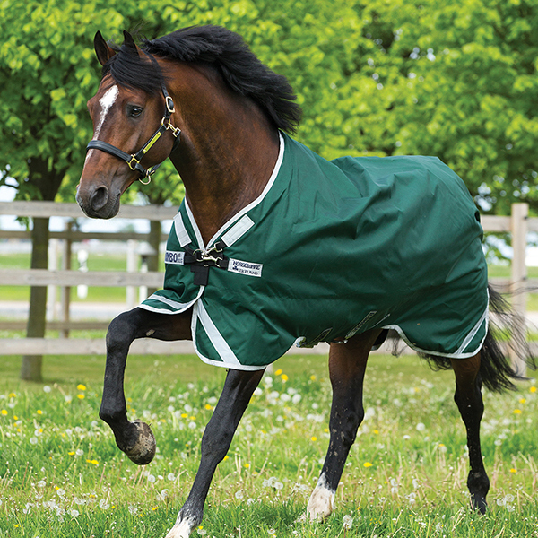 a horse wearing a blanket