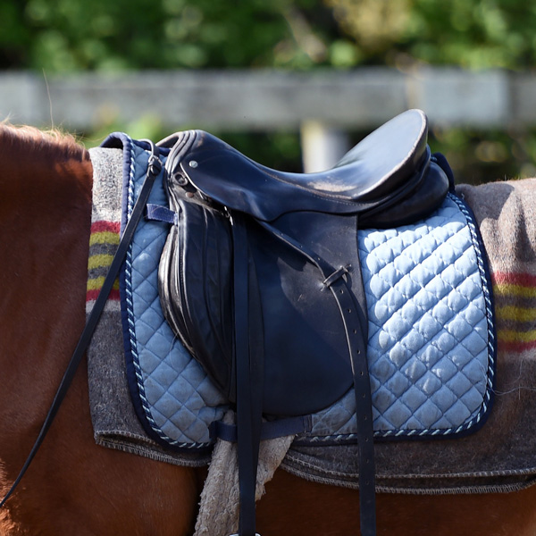a saddle on a horse's back